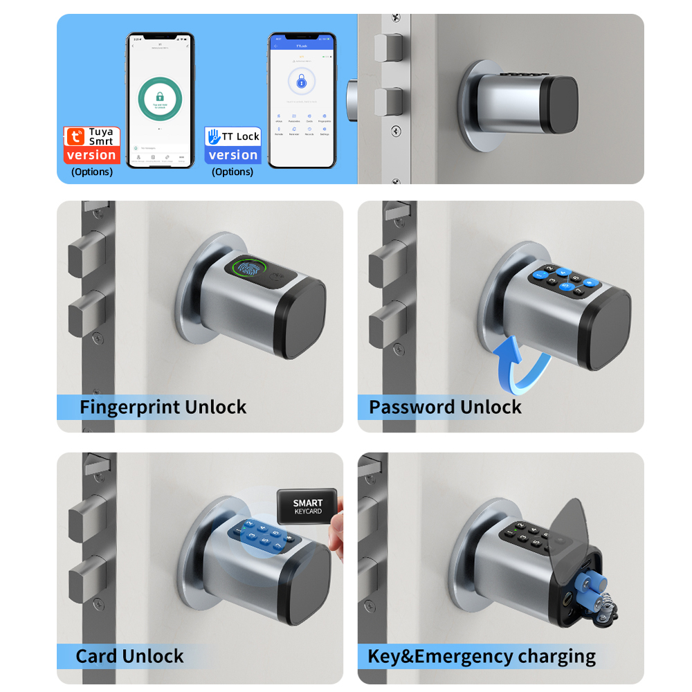 RAYKUBE S1 Tuya BLE TT Khóa Th - đánh giá và giá Diy Home Electronics