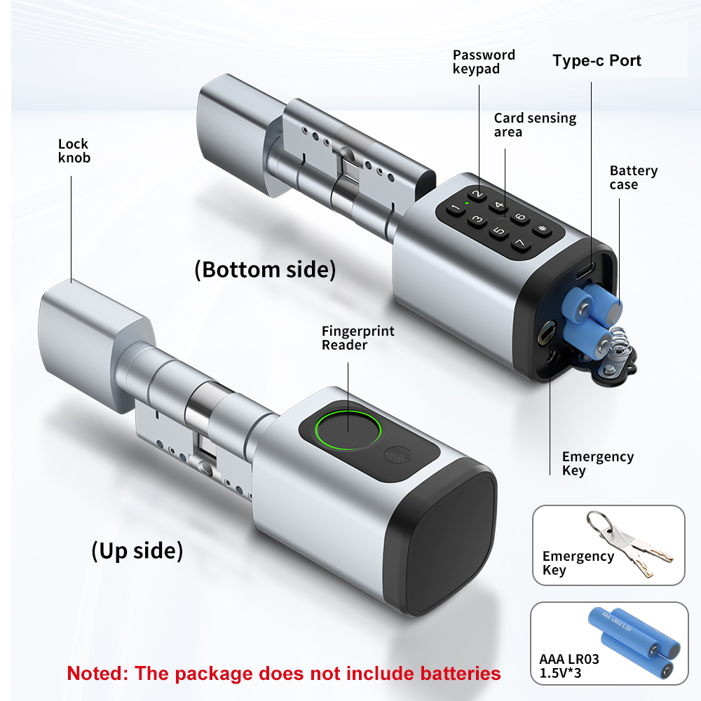 RAYKUBE S1 Tuya BLE TT Khóa Th - đánh giá và giá Diy Home Electronics